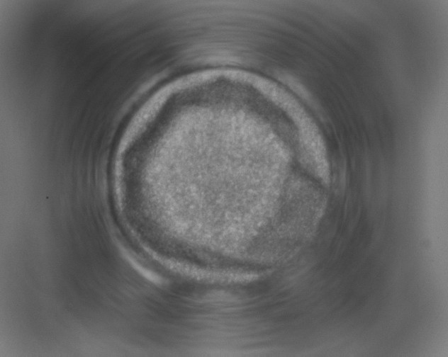 X0000081350390200702082300