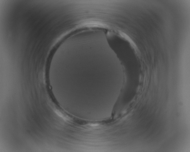 X0000081350391200702082300