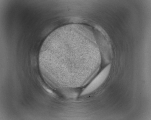 X0000081350393200702082300