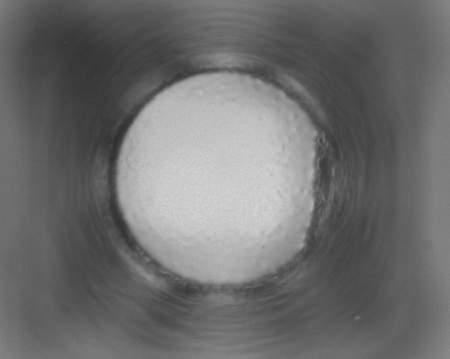 X0000081350394200702082300