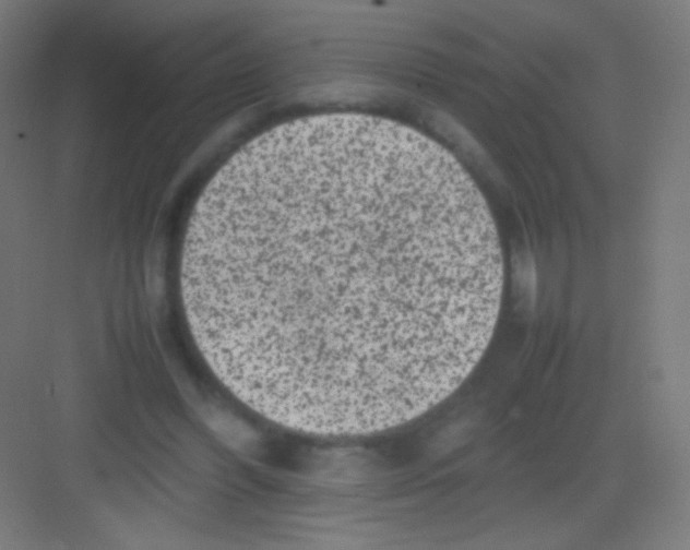 X0000081350396200702082300