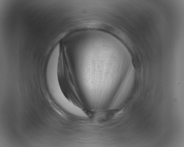 X0000081350397200702082300