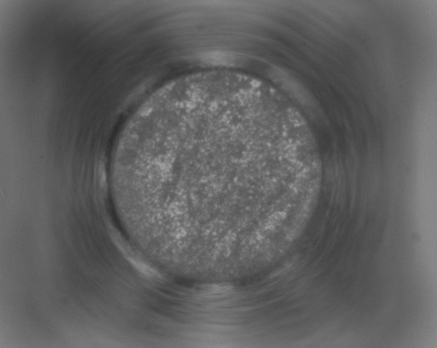 X0000081350398200702082300