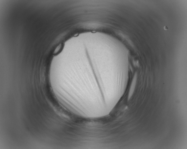 X0000081350400200702082300