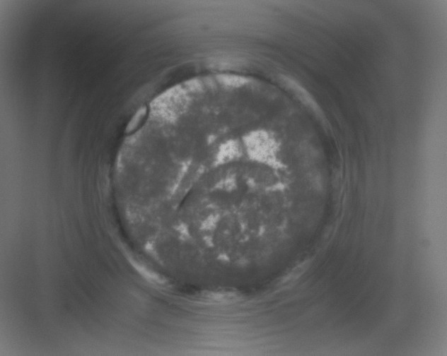 X0000081350401200702082300