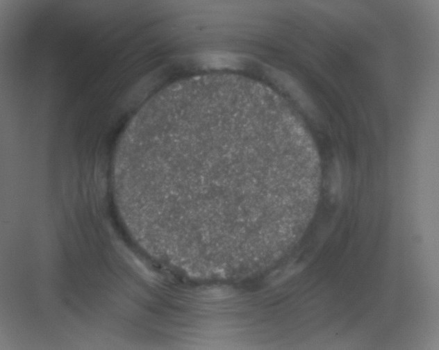 X0000081350402200702082300