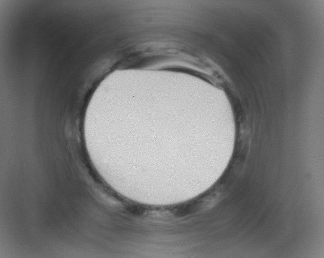 X0000081350403200702082300