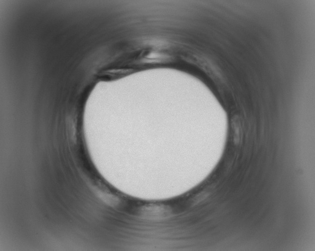 X0000081350404200702082300