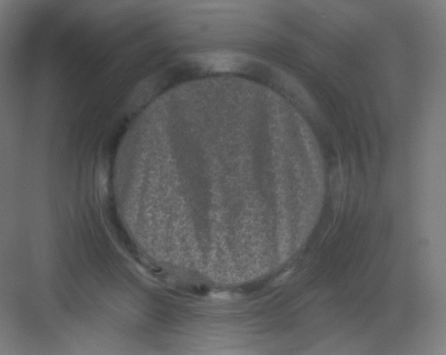 X0000081350406200702082300