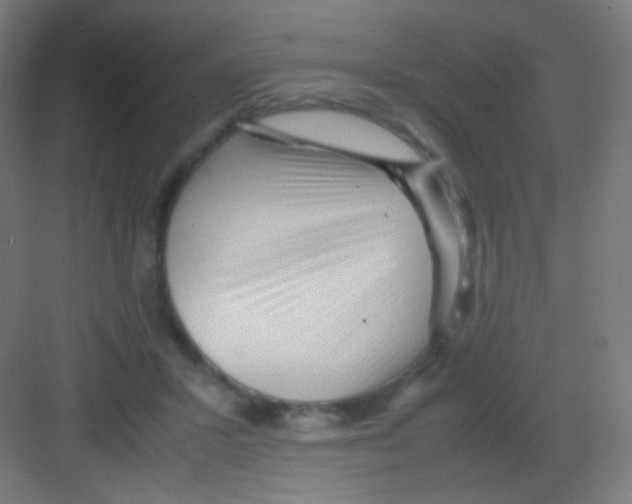 X0000081350407200702082300