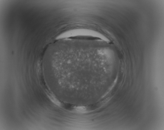 X0000081350409200702082300