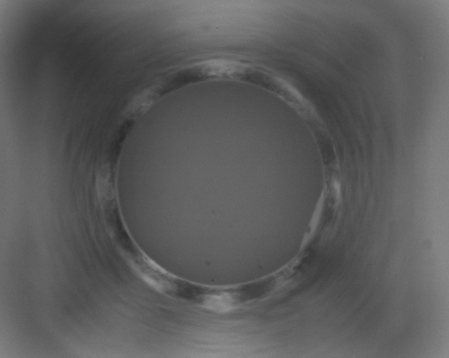 X0000081350411200702082259