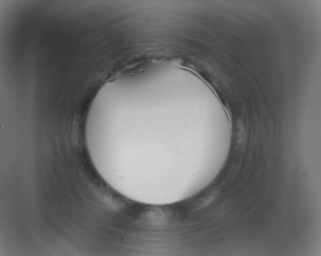 X0000081350416200702082259