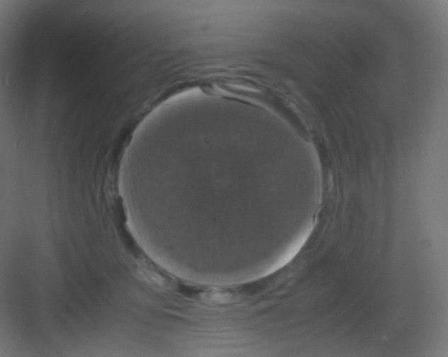 X0000081350419200702082259