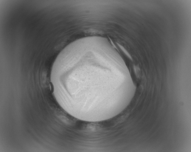 X0000081350420200702082259