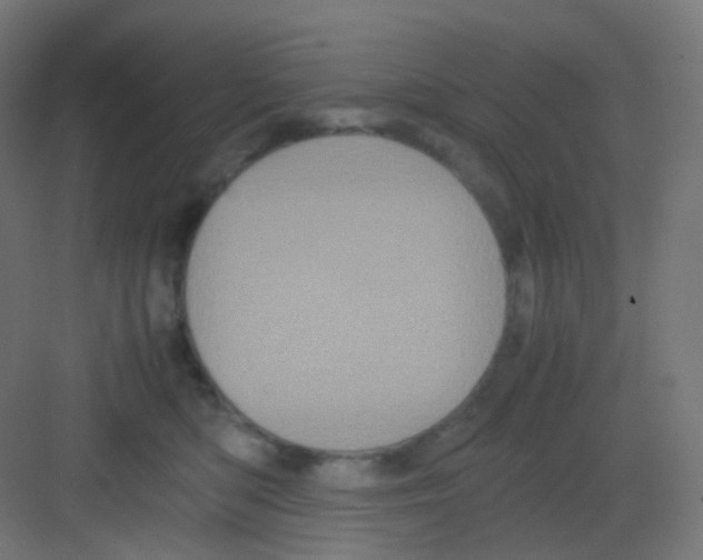 X0000081350422200702082259