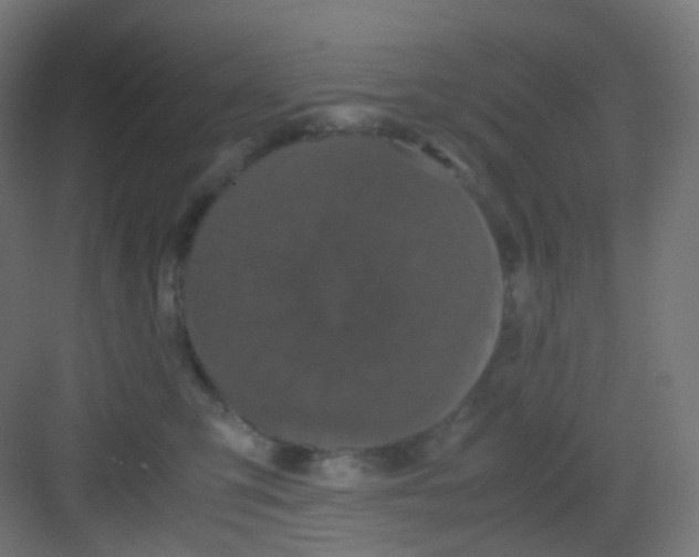 X0000081350423200702082259