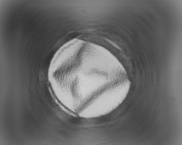 X0000081350425200702082259