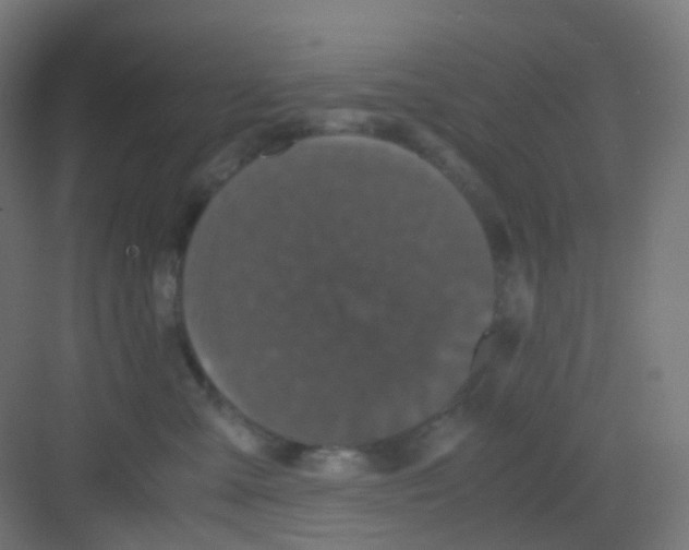 X0000081350427200702082259