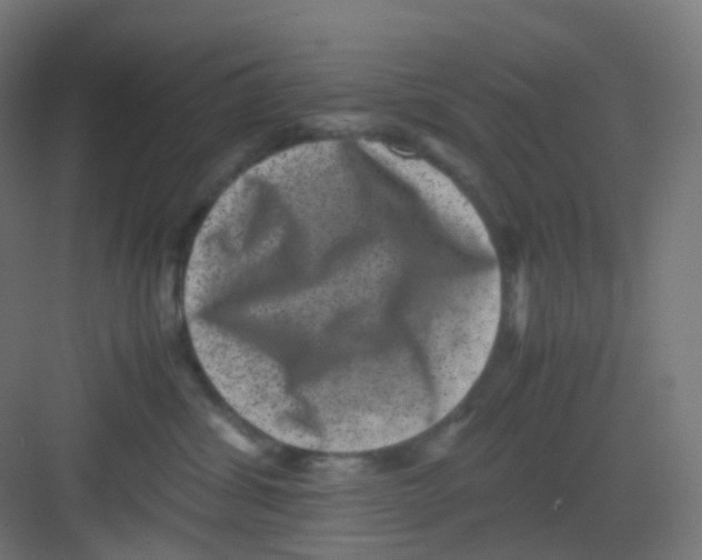 X0000081350428200702082259