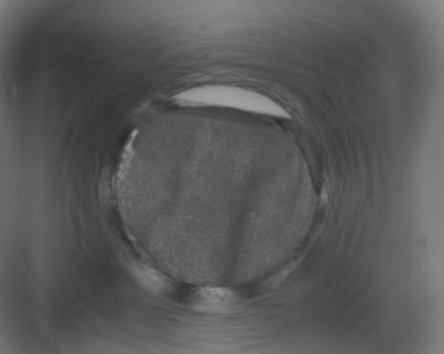 X0000081350429200702082259