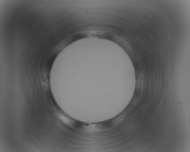 X0000081350430200702082259