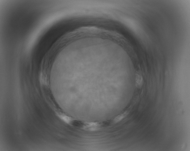 X0000081350431200702082259