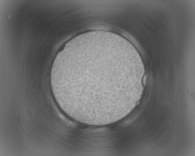 X0000081350433200702082258