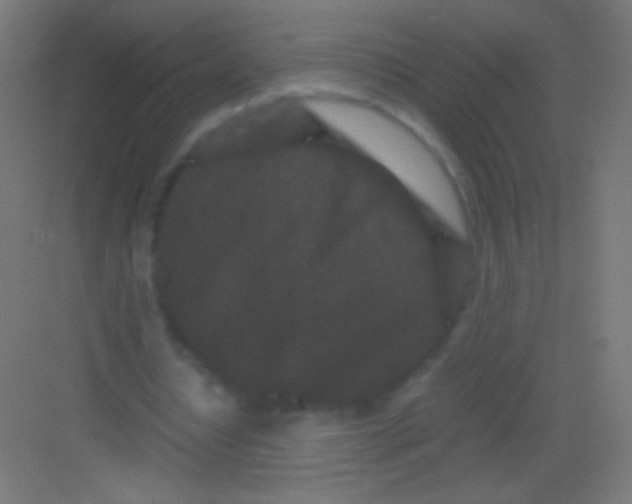 X0000081350434200702082258