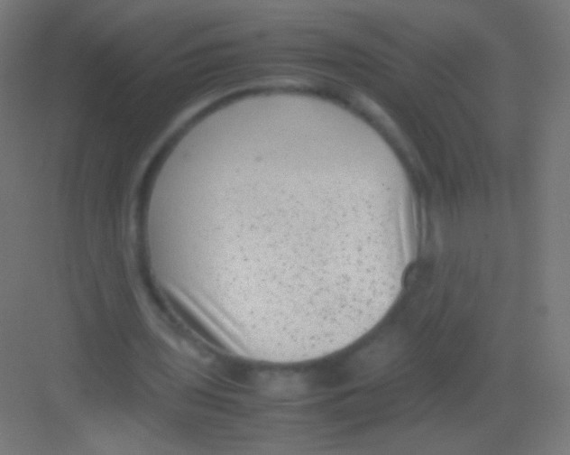 X0000081350435200702082258