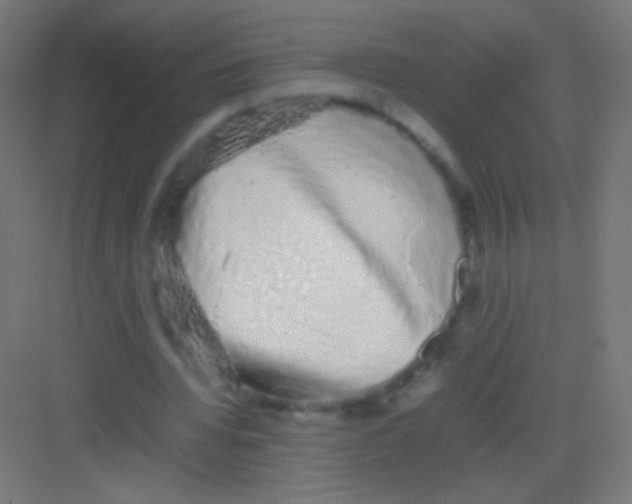 X0000081350436200702082258