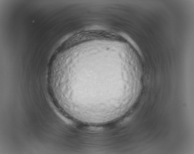 X0000081350437200702082258