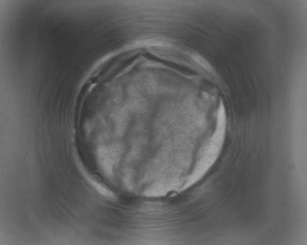 X0000081350438200702082258