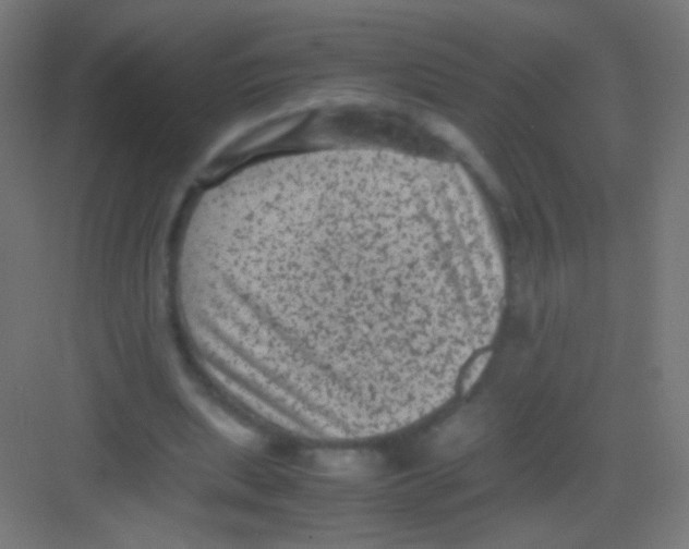 X0000081350439200702082258