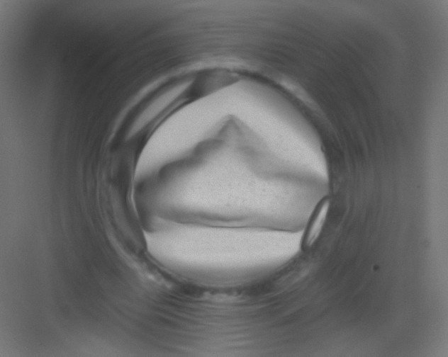 X0000081350440200702082258