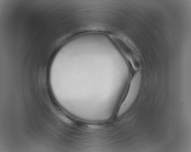 X0000081350442200702082258