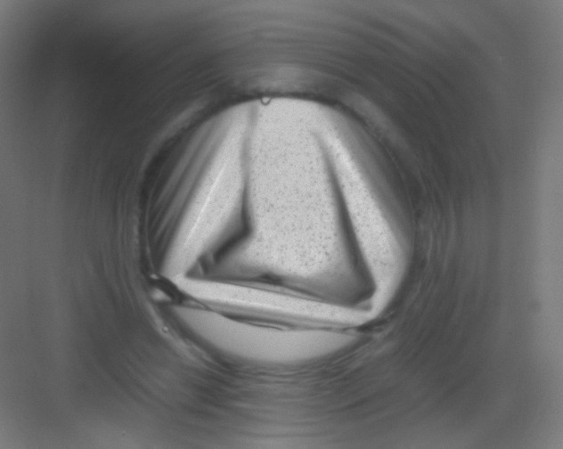 X0000081350446200702082259