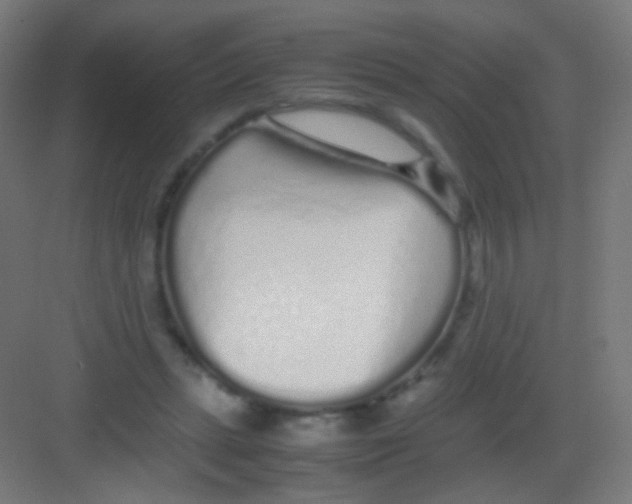 X0000081350447200702082259