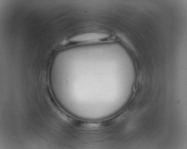 X0000081350449200702082259