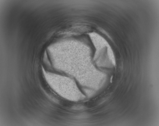 X0000081350451200702082259