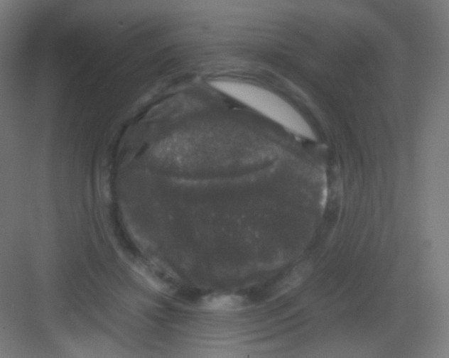 X0000081350452200702082259