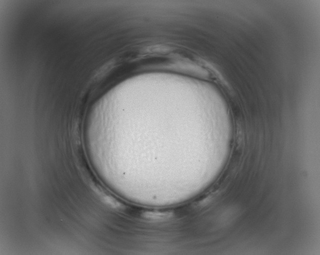 X0000081350453200702082259