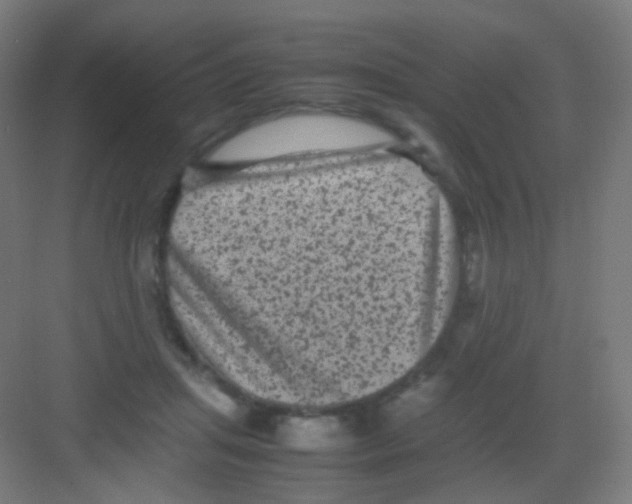 X0000081350455200702082259