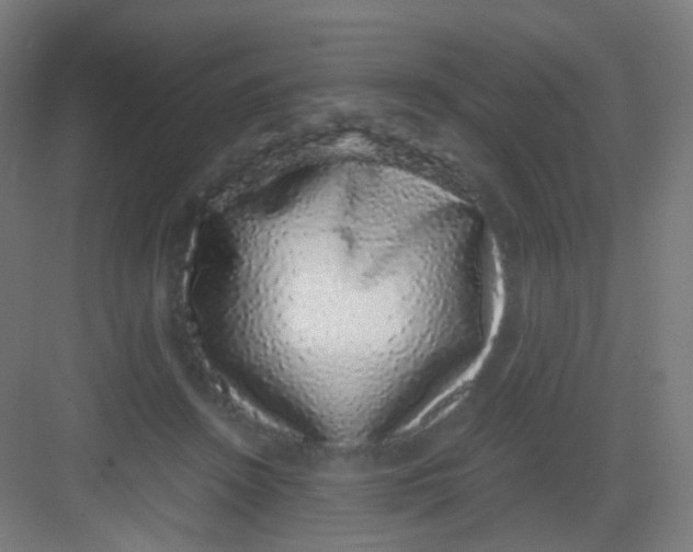 X0000081350456200702082259