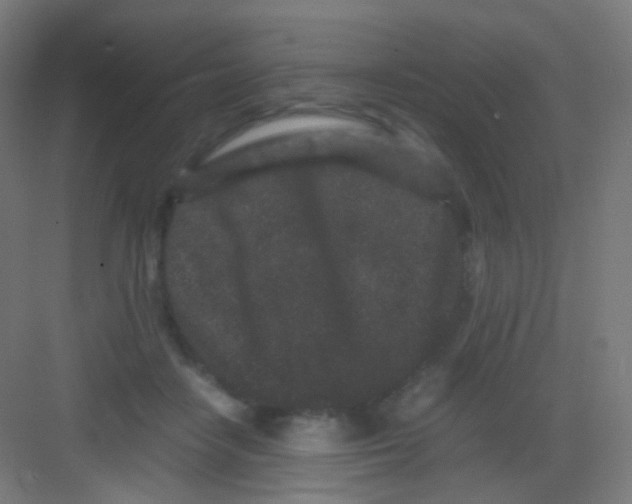 X0000081350458200702082259