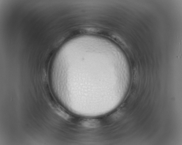 X0000081350459200702082259