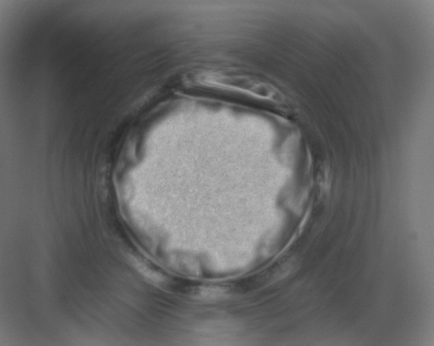 X0000081350462200702082259