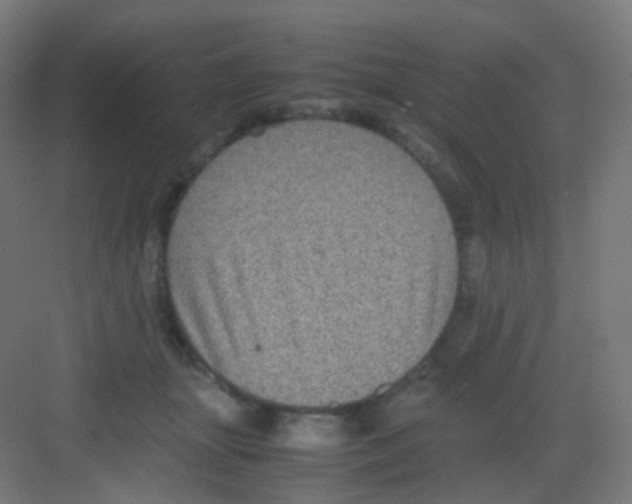 X0000081350463200702082259