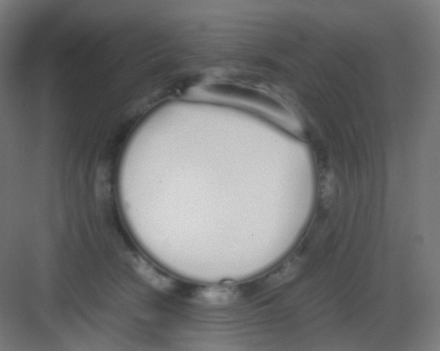 X0000081350466200702082259