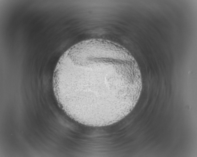 X0000081350468200702082259